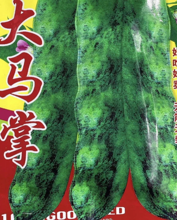东北大马掌豆角籽（种籽）