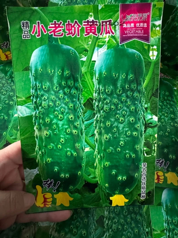 小老蚧丑黄瓜菜籽