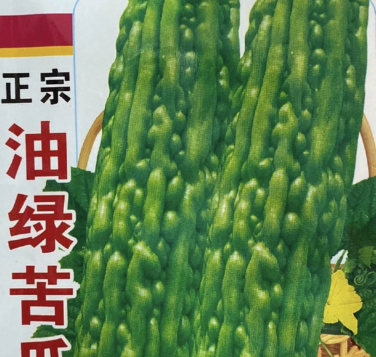 绿苦瓜籽南北方种