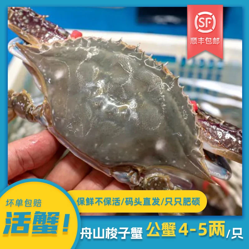 【保鲜不保活】优选舟山梭子蟹 公蟹 三斤(单只4-5两)顺丰 YL