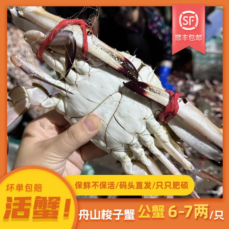 【保鲜不保活】优选舟山梭子蟹 公蟹 三斤(单只6-7两)顺丰 YL.