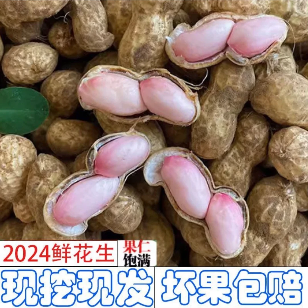 2024湖北老河口农家自种湿地鲜花生 水煮 生吃花生
