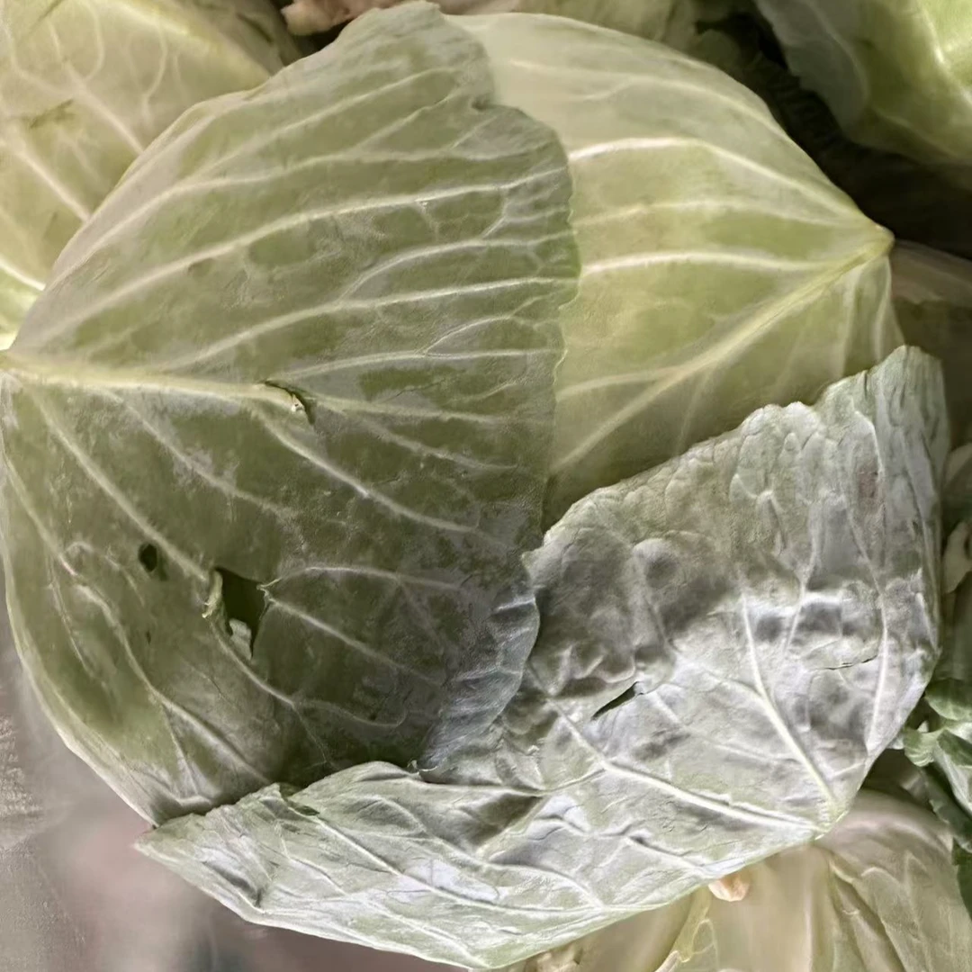 湖北农家菜 包菜2个包邮