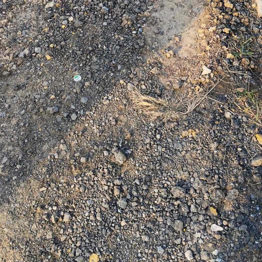 幸****待幸福经不起等待嫁接 多肉