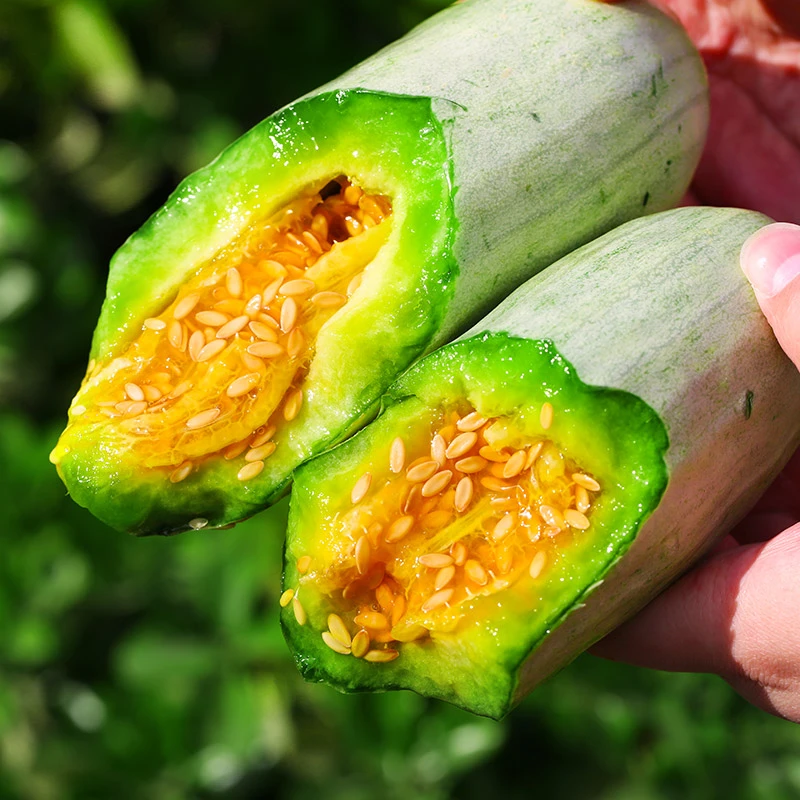 凤耕社优选 山东羊角蜜甜瓜   酥脆无渣 多规格