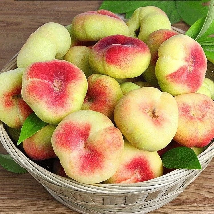【顺丰京东】山东蒙阴王母蟠桃3斤/4.5斤新鲜水果桃子毛桃软硬两吃