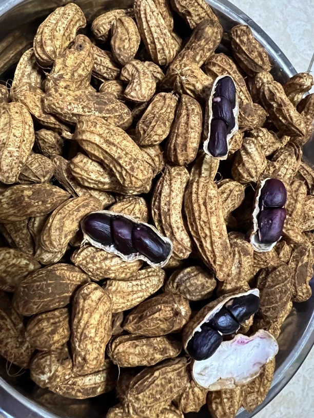 云南高山特产黑花生