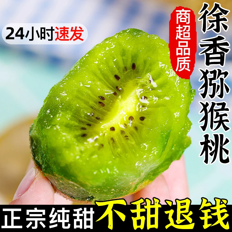 【催熟食用】陕西徐香猕猴桃应季水果30枚60-80g坏果包赔