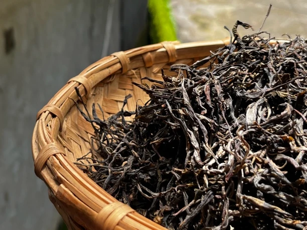 2018年春 (铸钱山)古树茶散茶