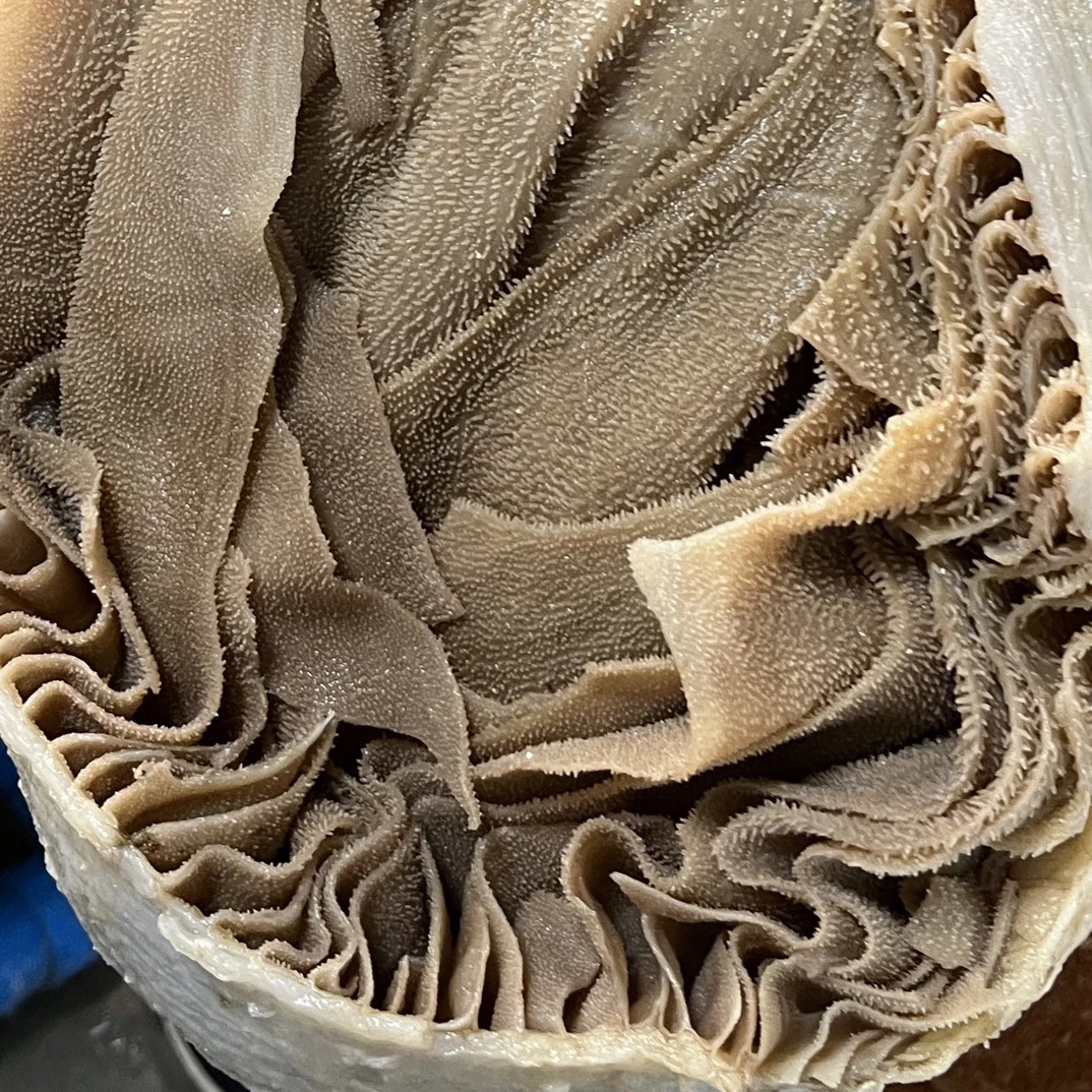 个个定制  现场称重 精品鲜货