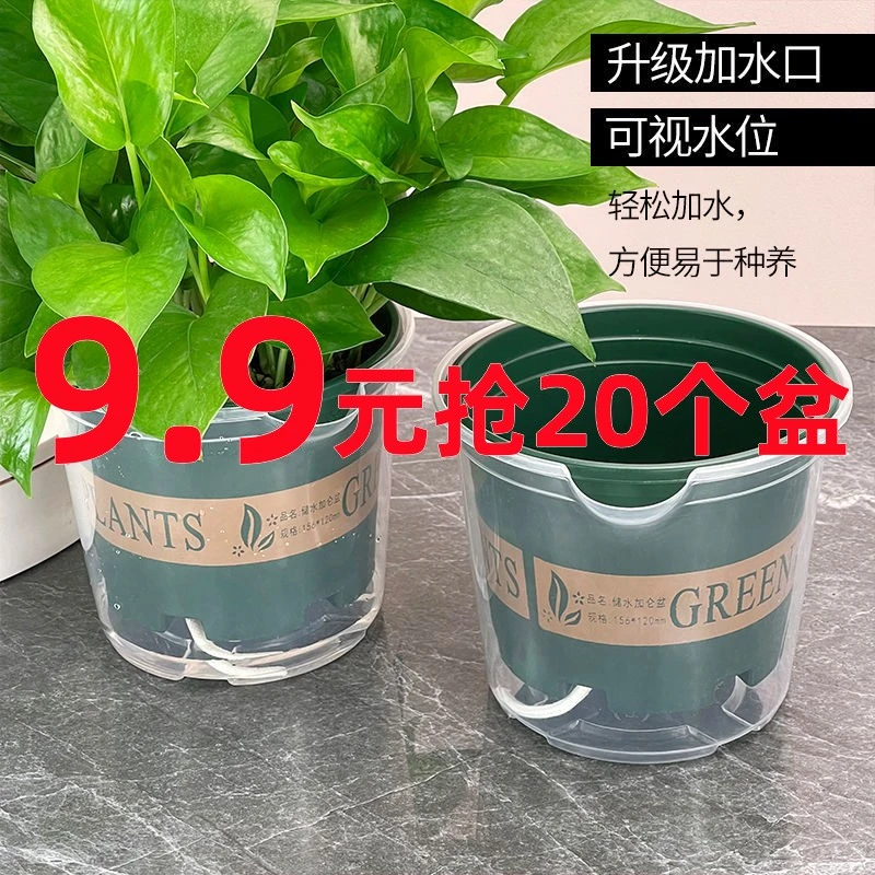 2024新款自动吸水绿萝花盆防烂根专用储水器室内简约懒人塑料加仑