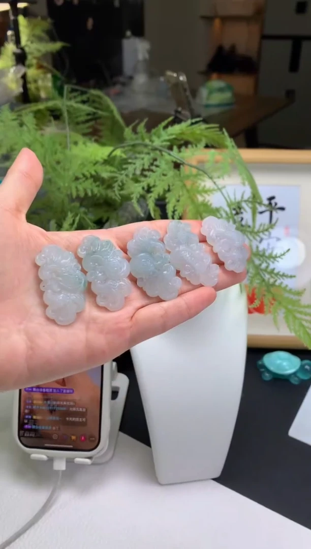 【闪购商品】定制翡翠未镶嵌吊坠-65827多样性发其一