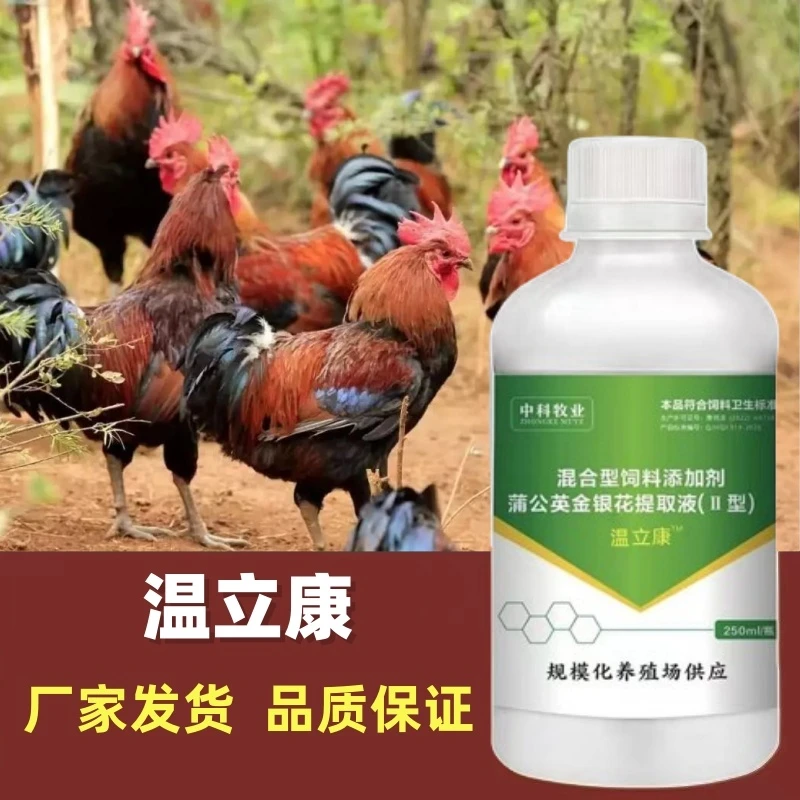 温立康禽用鸡鸭鹅用冷应激天然植物饲料添加剂