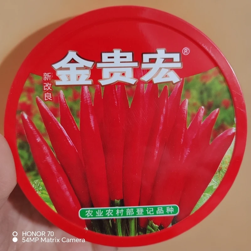 金贵宏辣椒种子农场种植朝天椒