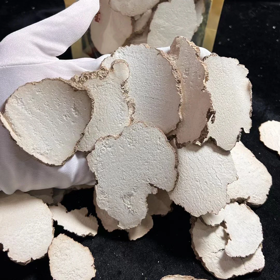 虎乳片虎乳菌【鸡嫂福利鱼胶】