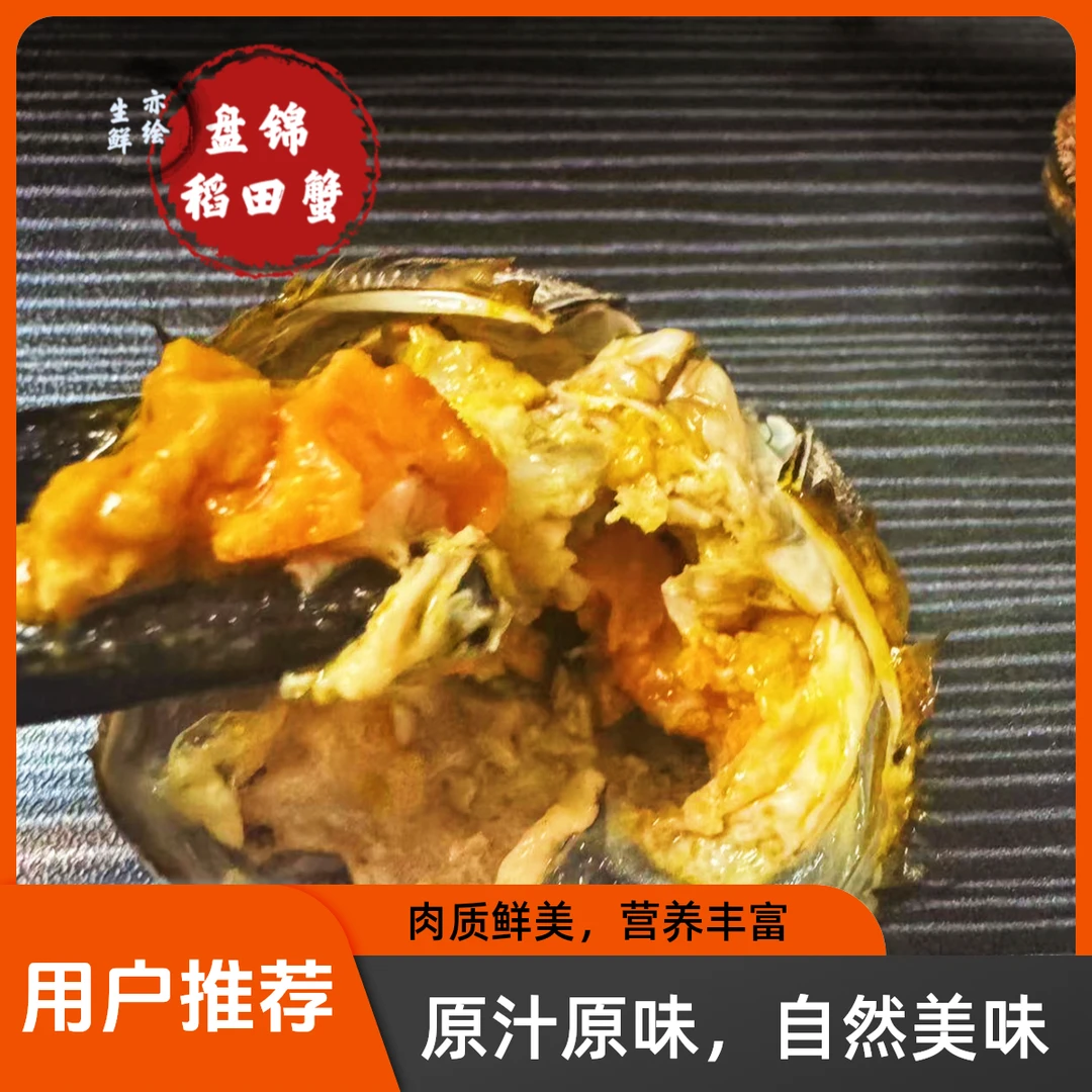 【活蟹】正宗盘锦河蟹稻田蟹  母蟹（0.9两-1.2两）3斤【26-30】只
