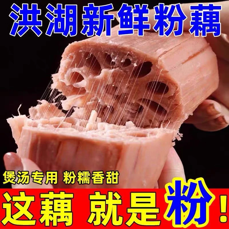 湖北洪湖莲藕煲汤粉藕新鲜糯米藕3/5斤正宗洪湖粉藕糯米藕
