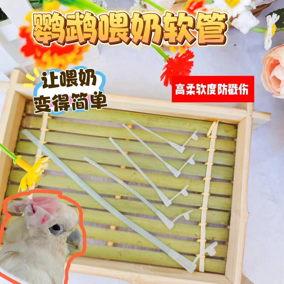 鹦鹉喂奶软管注射器针筒喂鸟工具雏鸟bb手养奶鸡硅胶软管打奶器