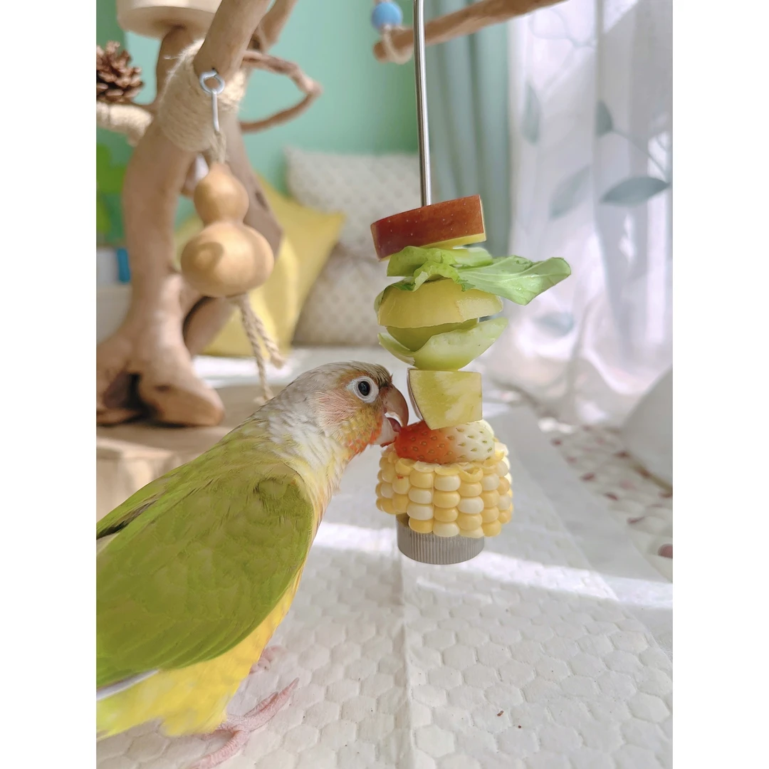 鹦鹉鸟用304不锈钢水果叉子啃咬玩具喂蔬菜专用喂食器果蔬插杆