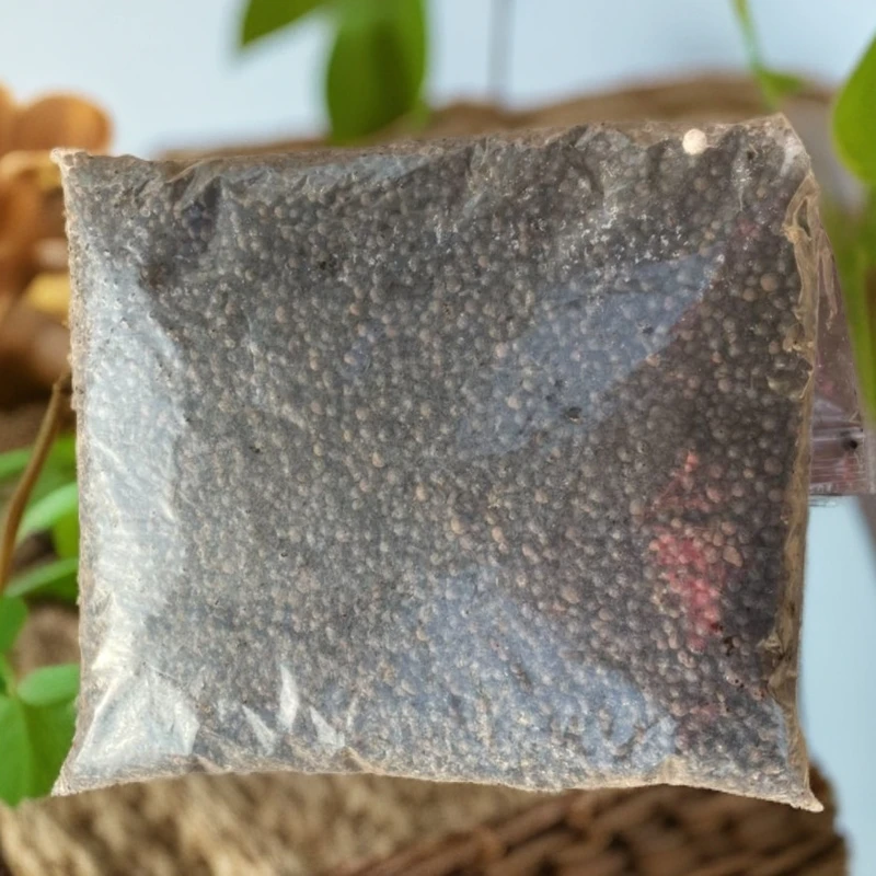 多肉法师有机肥拍三送一