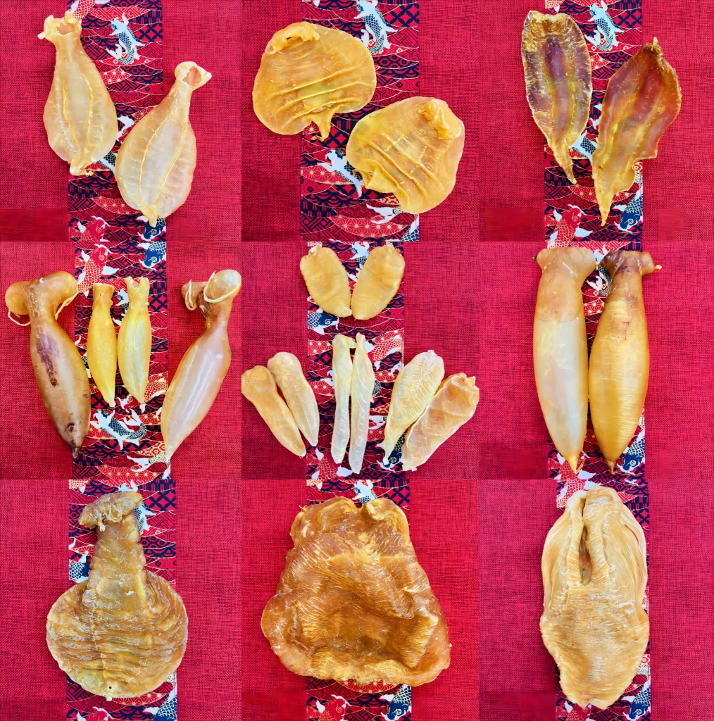 【一路胶】精选鱼胶直播称重