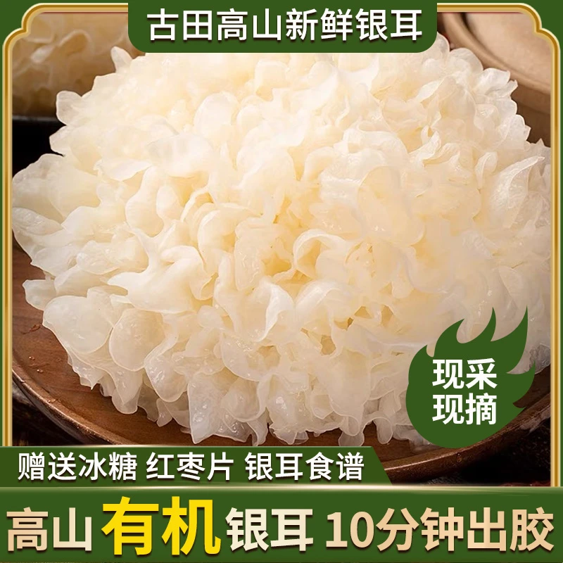 （有机新鲜银耳）口感好高山营养鲜银耳软糯满每朵独立包装食用新货