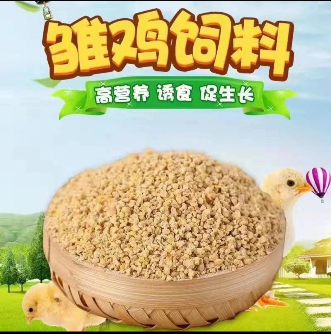 小鸡小鸡开口料 适应饲料