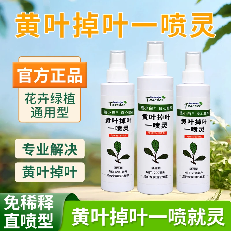 植小白黄叶掉叶一喷灵 专门解决植物黄叶掉叶等问题
