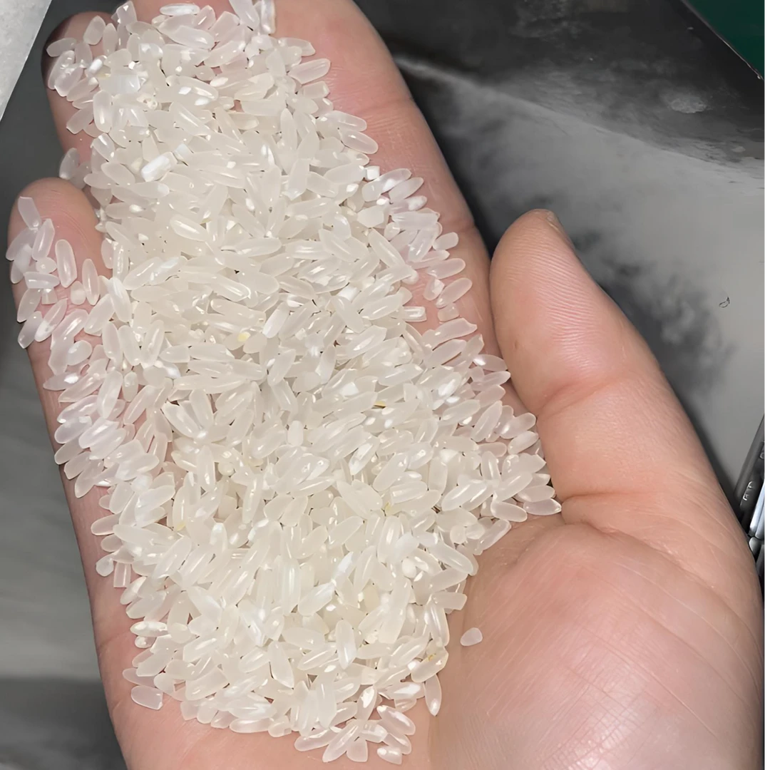 2024年新米五常核心产区龙凤山稻花香2号