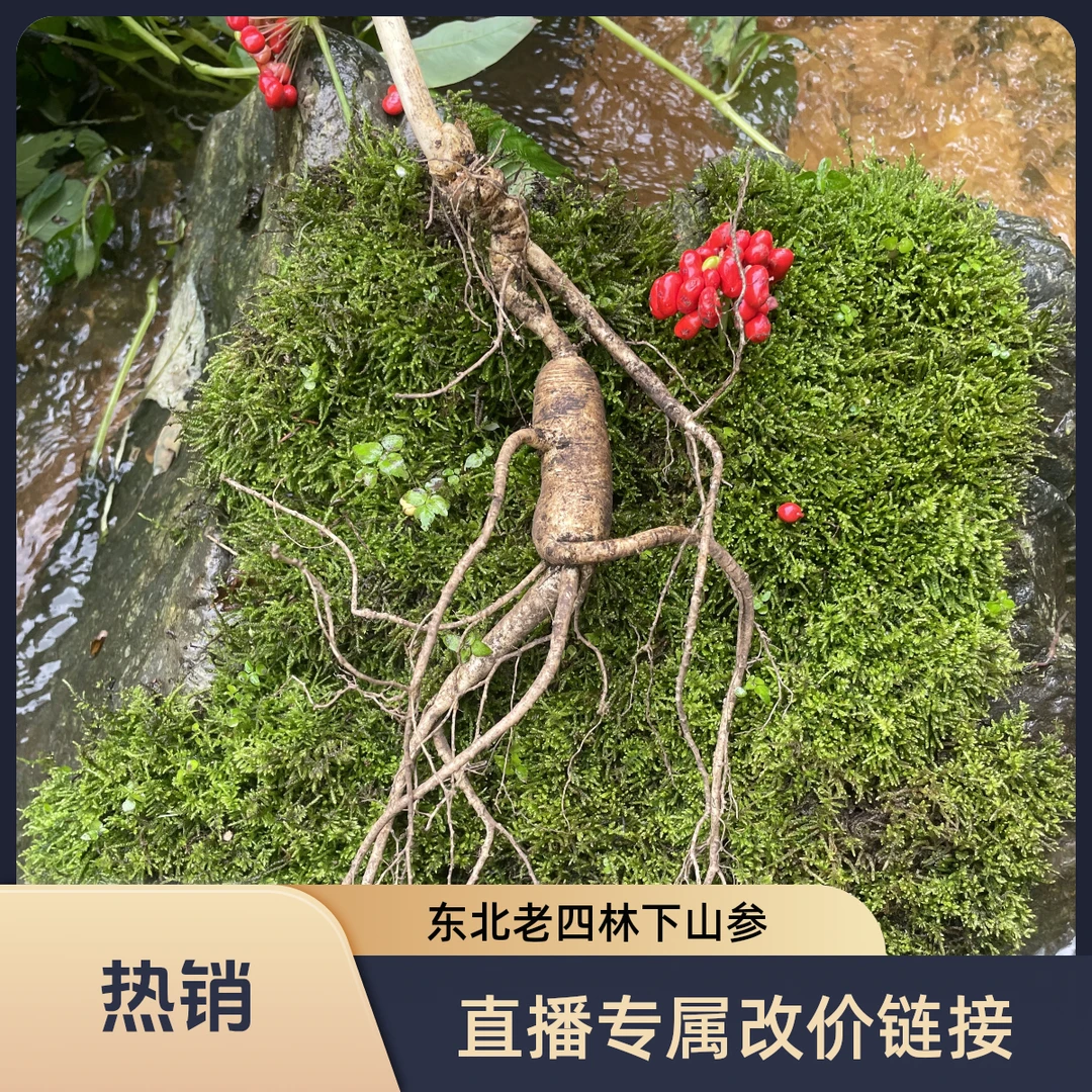 东北老四高龄自然林下参营养滋补泡酒煲汤泡水产地直发直播改价