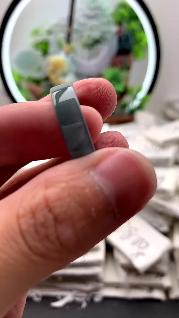 【闪购商品】翡翠颈饰未镶嵌戒圈