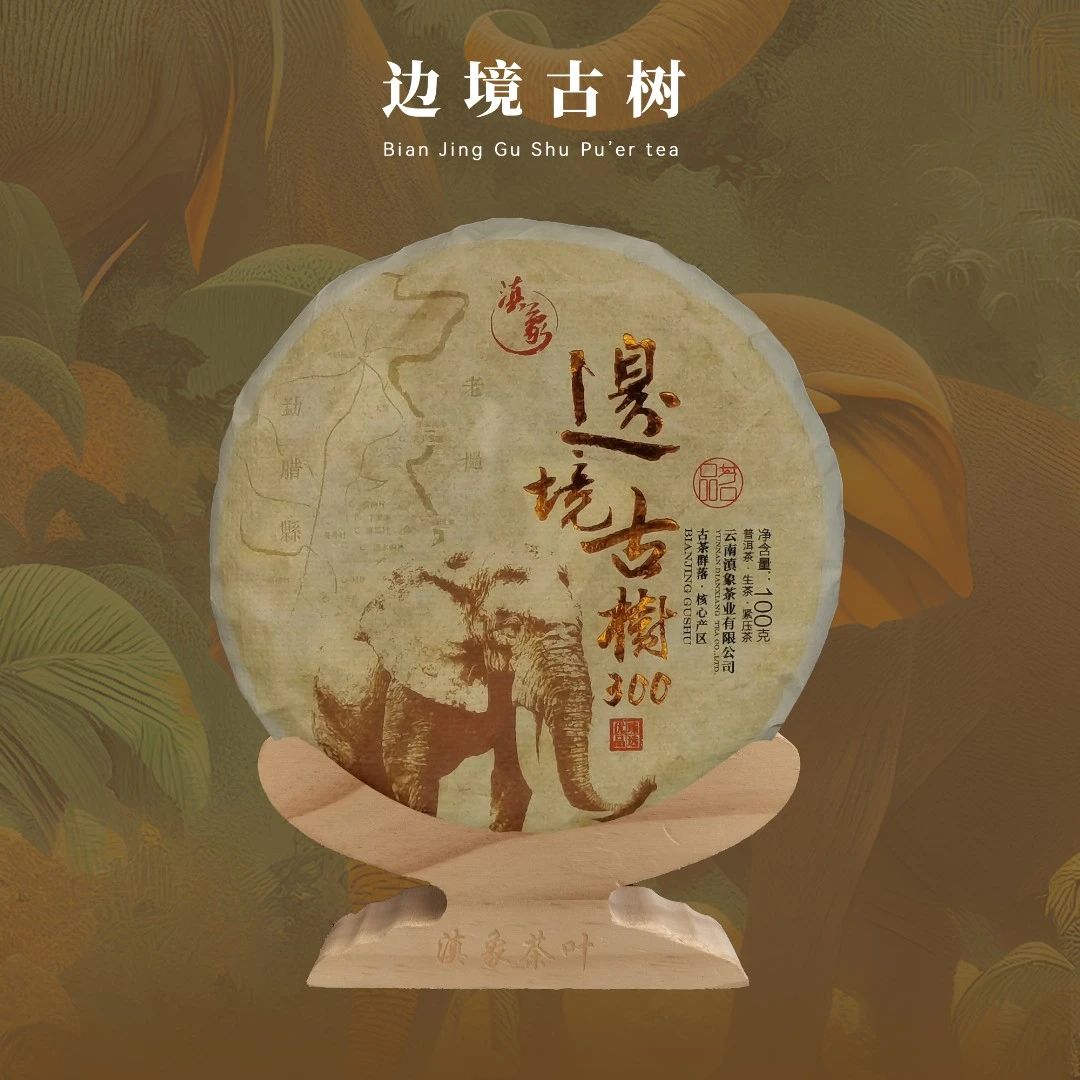 【云南滇象普洱茶】2022年边境古树饼茶 野韵足  普洱茶生茶 100g