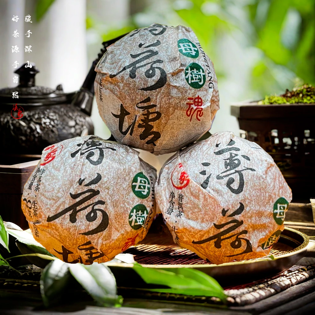 千年茶乡~【云南滇象普洱茶】魂系列●2023年薄荷塘母树龙珠 8g/颗