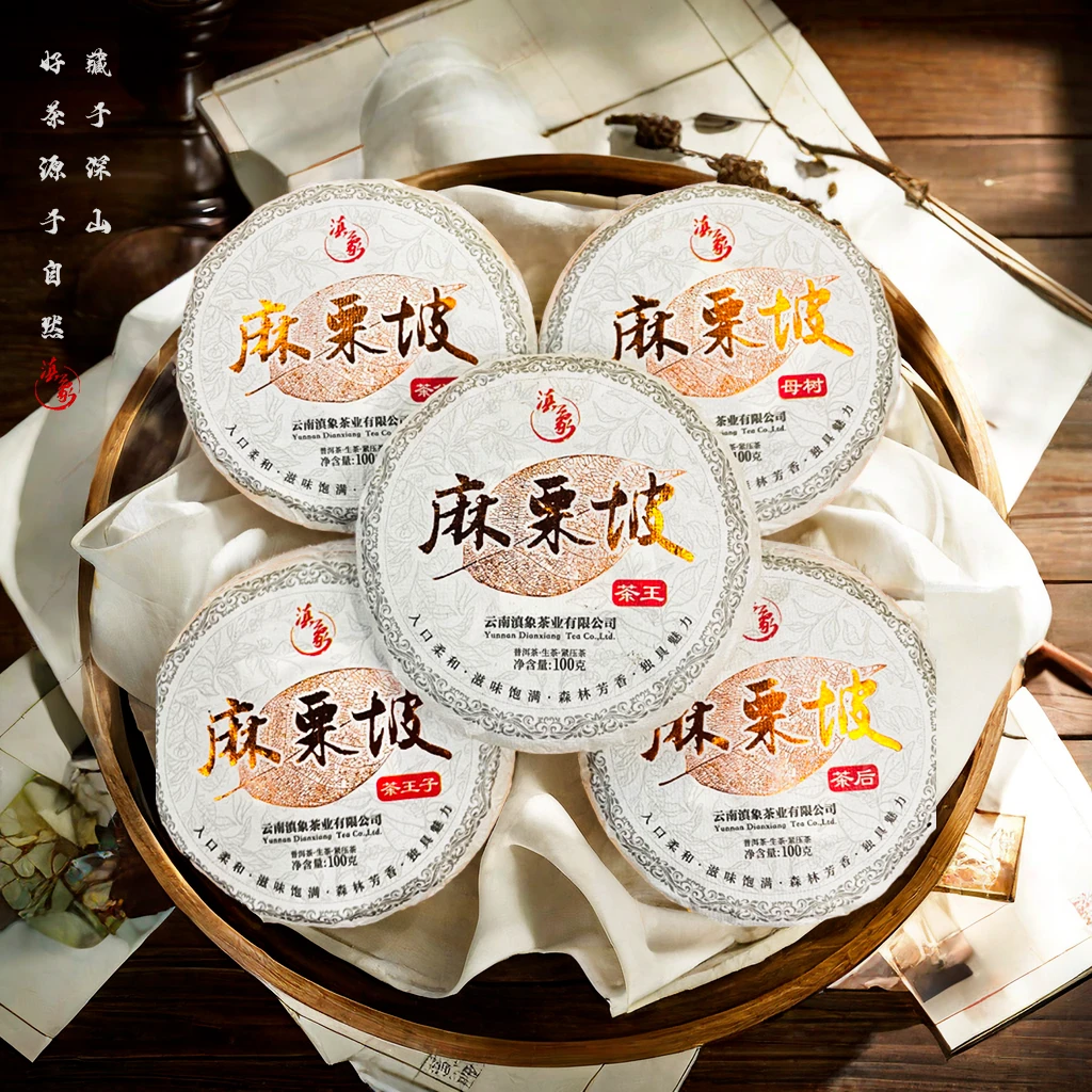 【云南滇象普洱茶】2023年麻栗坡古树  普洱茶生茶 100g/饼 5饼/提