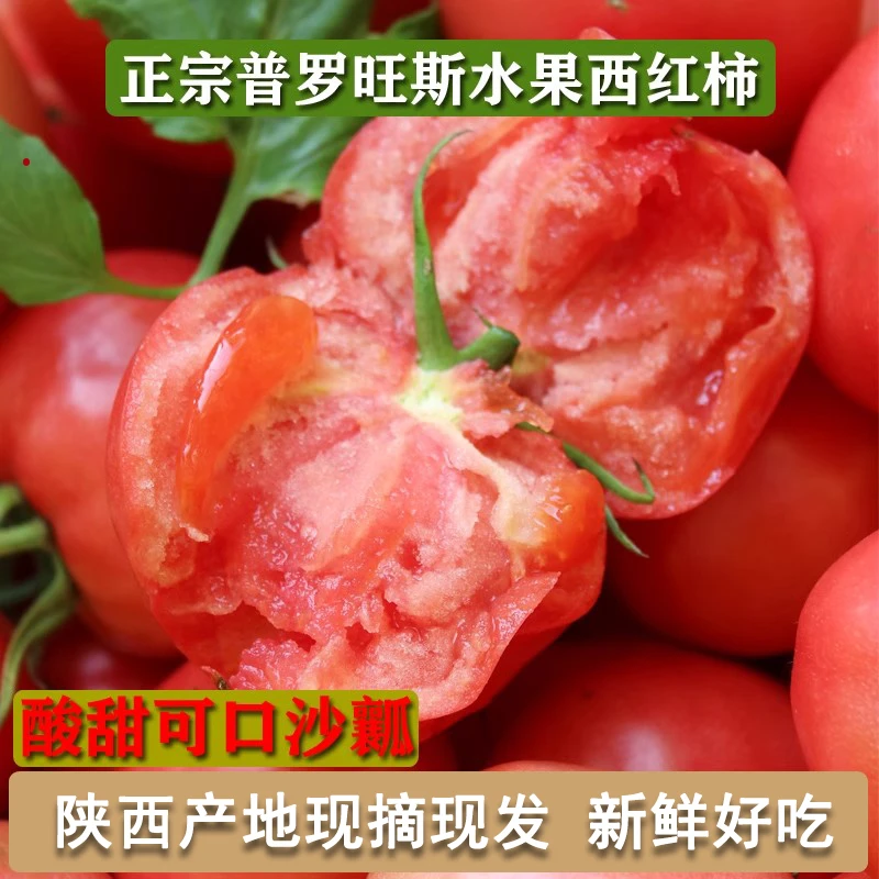 【兔优达】陕西泾阳普罗旺斯水果西红柿可生吃自然熟沙瓤多汁爽口