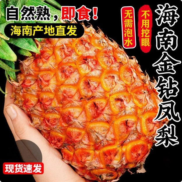 正宗海南金钻凤梨新鲜当季水果手撕菠萝孕妇菠萝批发包邮