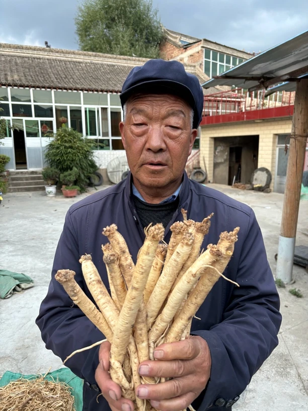 甘肃岷县党参原汁原味原产地直发