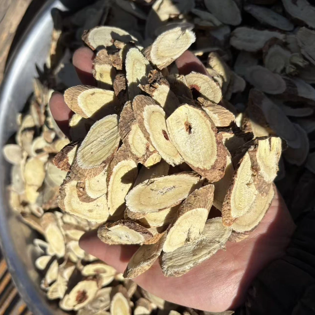 野生黄芪15年主根切片