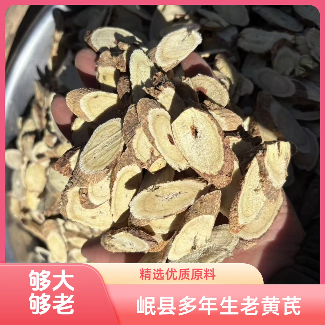 野生黄芪15年主根切片