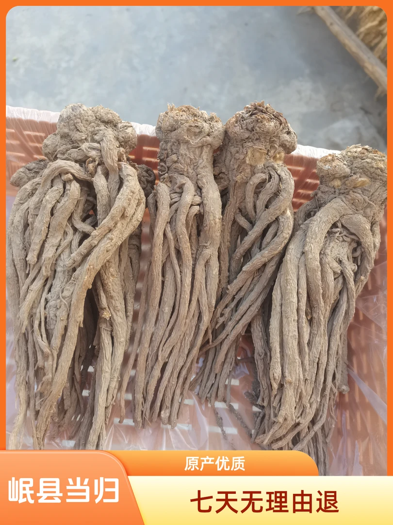 (当归原条）岷县原产地当归