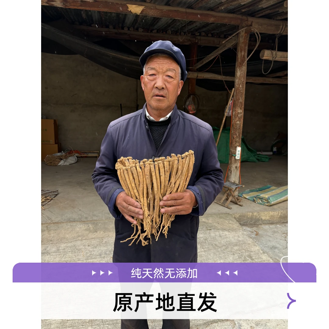 甘肃岷县无硫无熏精选种植中条党参大条党参