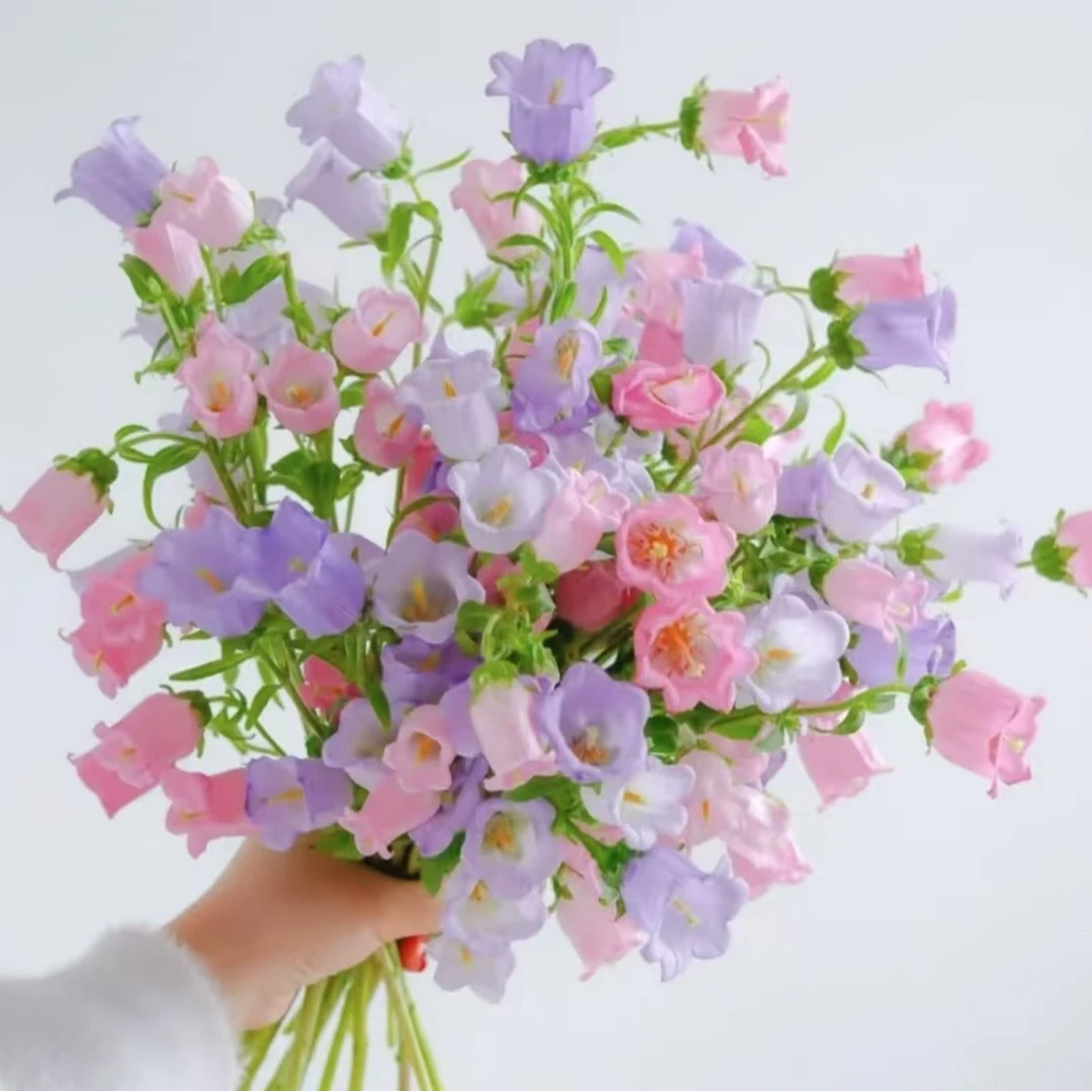 【风铃】单品~居家插花~云南基地鲜花（满3单包邮）10%不售后