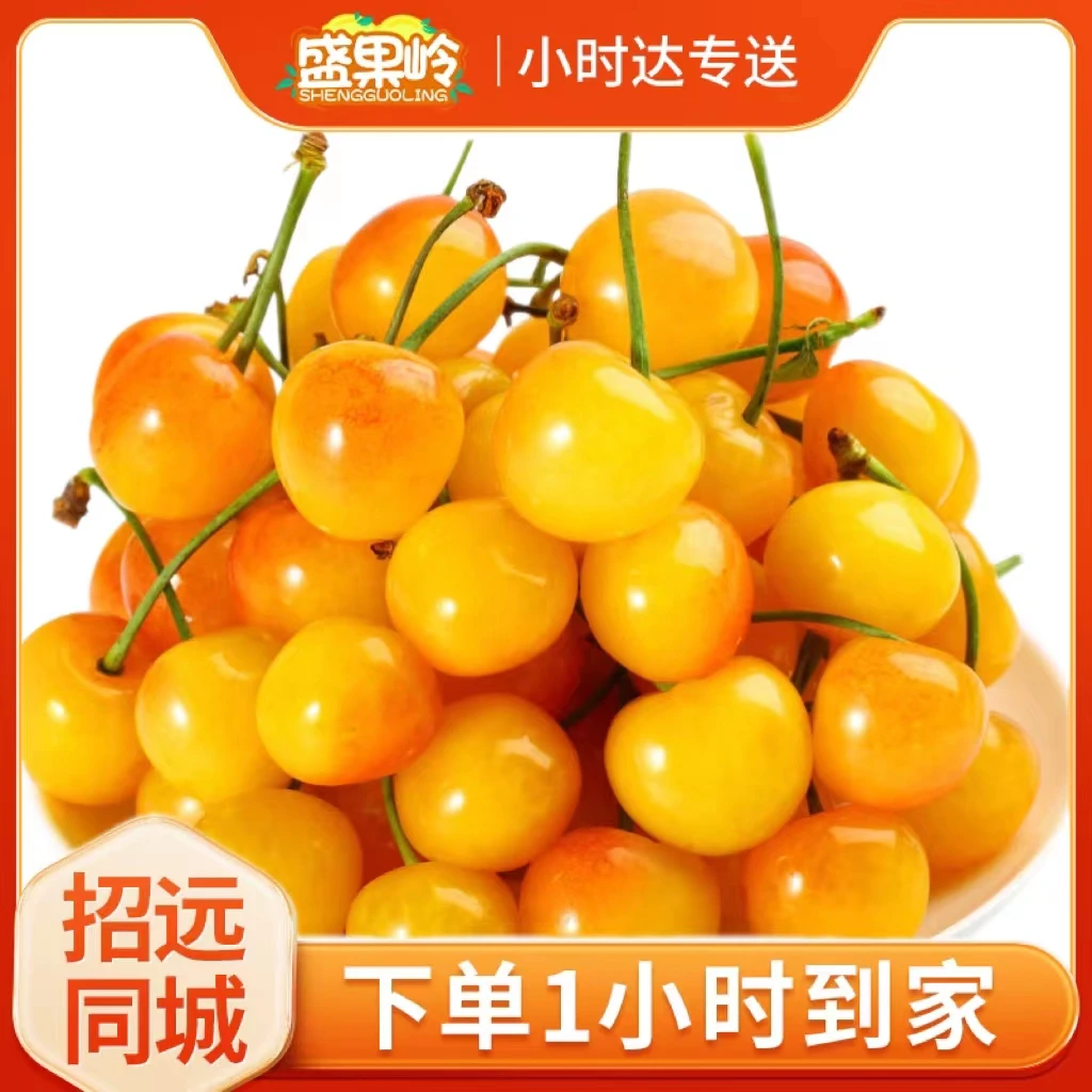 【1斤装】爆甜智利黄金车厘子雷尼尔【500g/份】