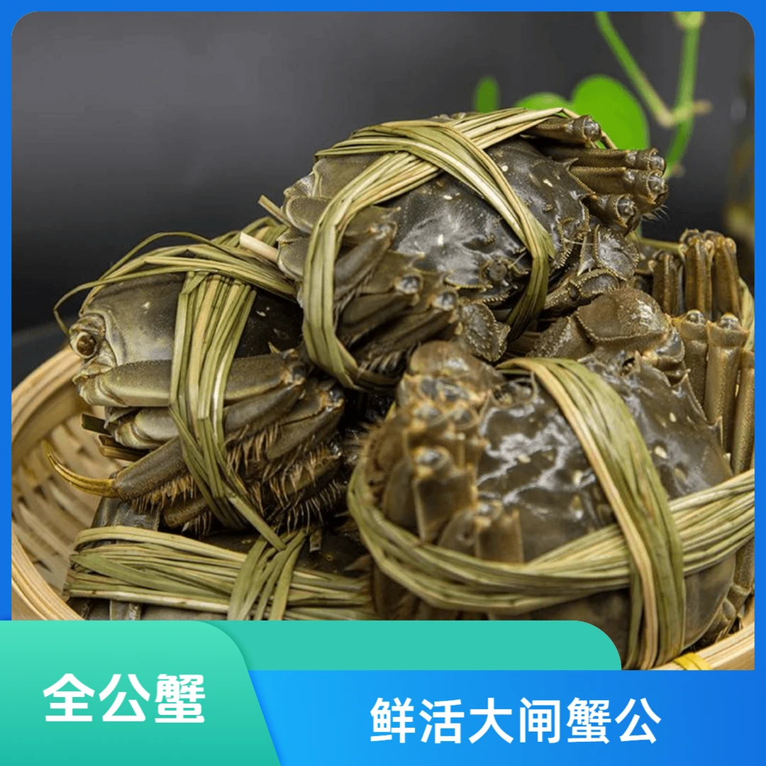 【全公蟹】鲜活大闸蟹公3.8-3.5两 10只 顺丰包邮