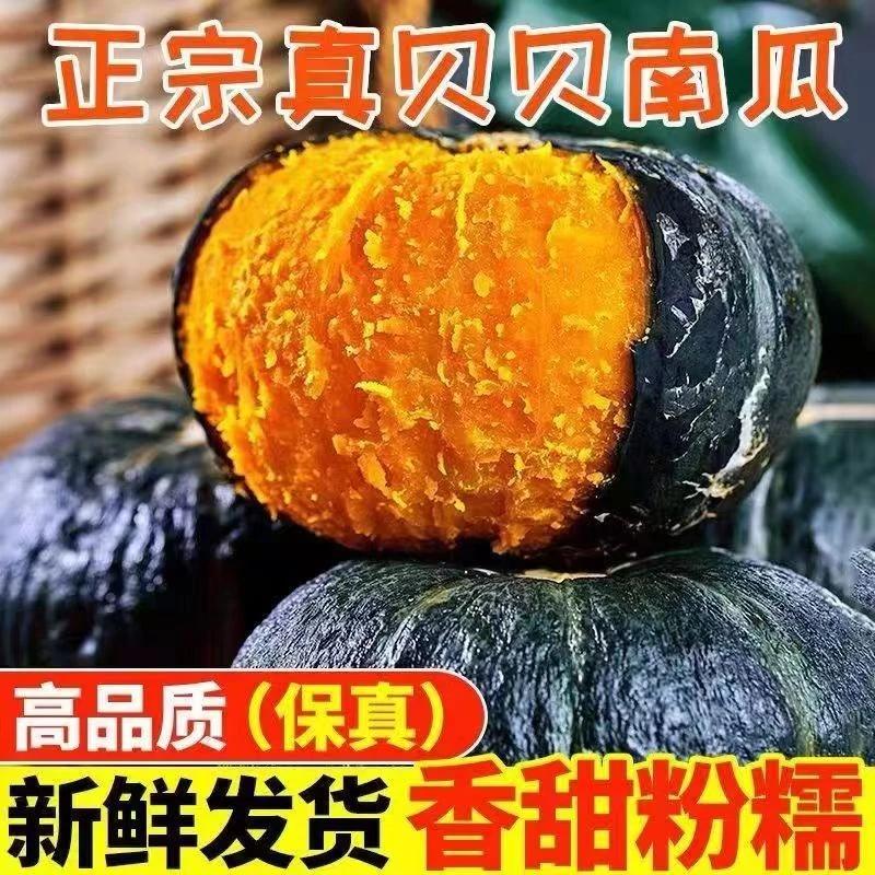 生态种植贝贝南瓜新鲜贝瓜粉糯香甜宝宝辅食板栗味南瓜爆粉5-10斤