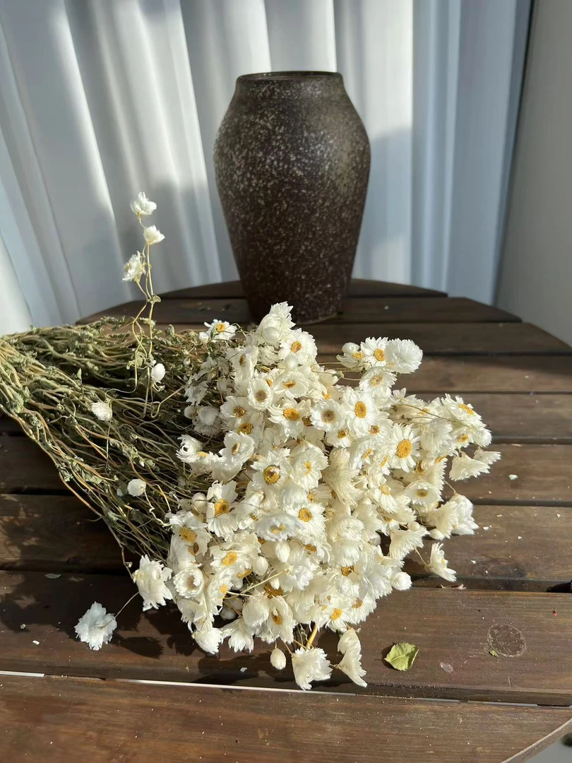 天然鲁丹斯干花花束真花鲜花风干鲁丹鸟干花花束