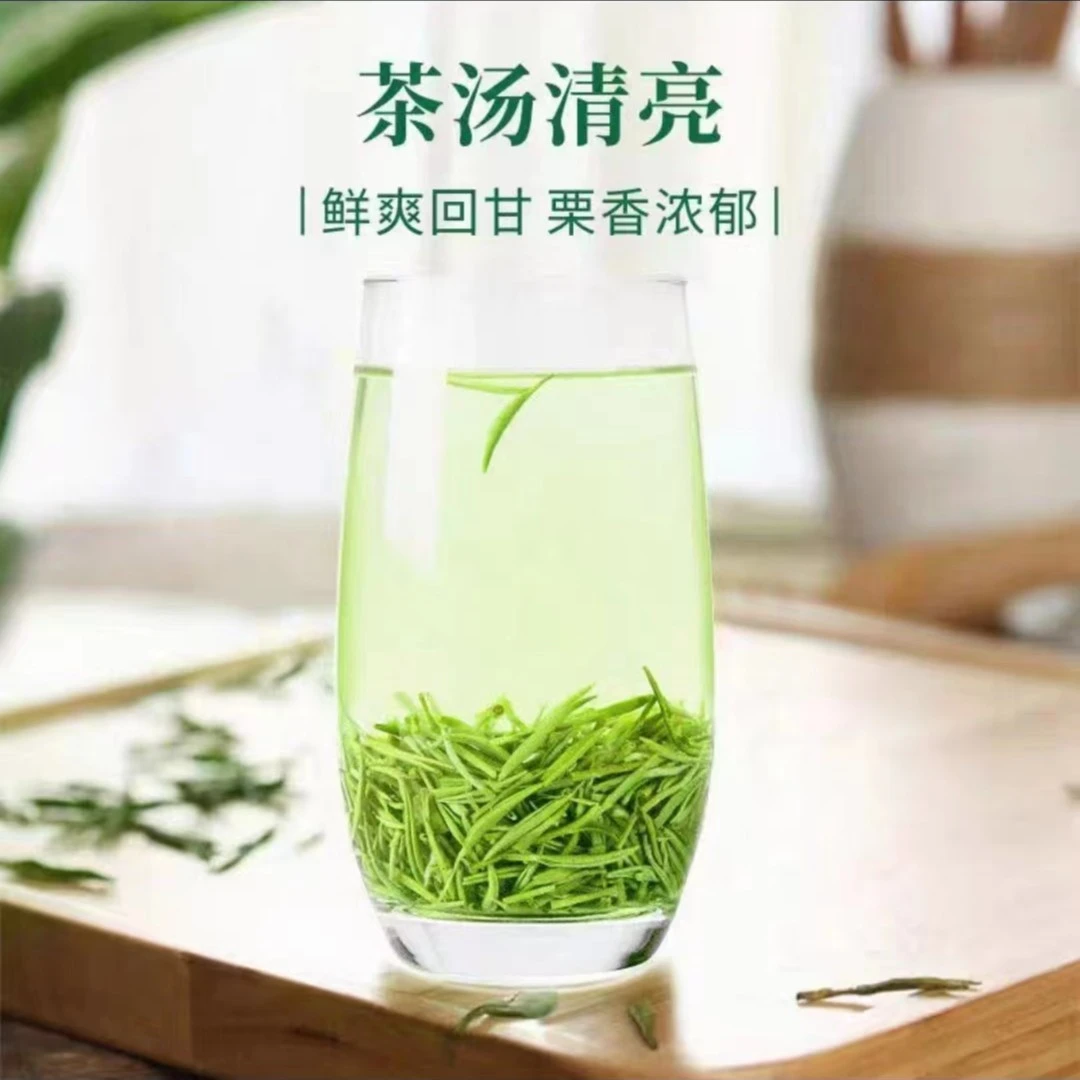 2024信阳毛尖新茶 精品小米芽 芽头整齐 鲜爽回甘 袋装茶叶