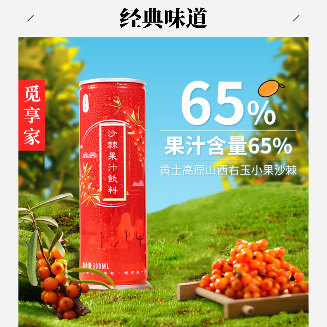 沙棘果汁饮料/300ml*10罐/酸甜好喝鲜榨营养解腻果味冷藏即饮天然