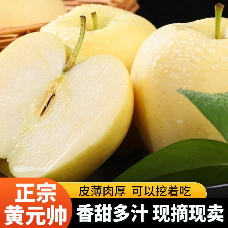 正宗黄元帅黄金帅新鲜苹果香甜皮薄酸甜多汁面新鲜采摘