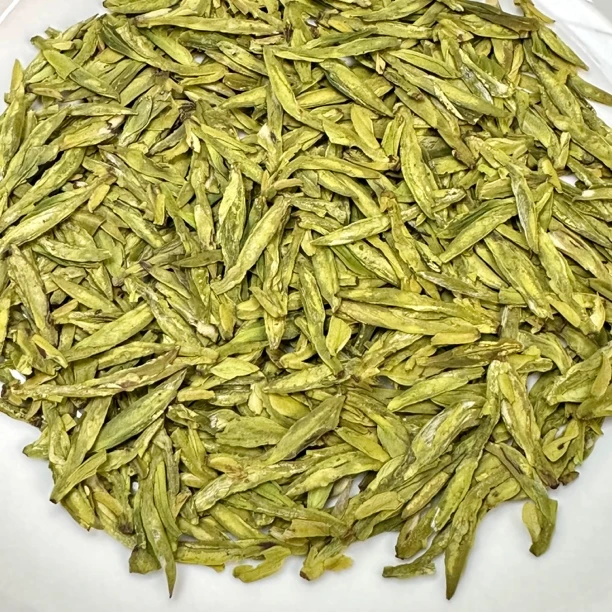 ［A5款 ］永嘉早茶2025明前春茶 高山绿茶土茶群体种 黄绿版豆香